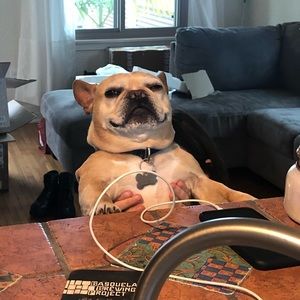 Meet your Posher, Derek